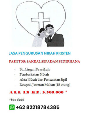 pp contact